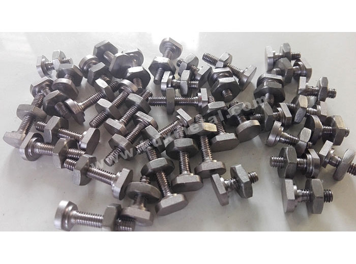 Niobium Screws